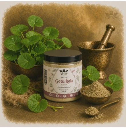 Gotu Kola pulver eko