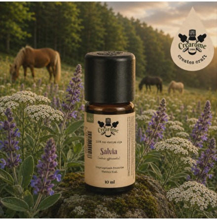 Salvia eterisk olja EKO