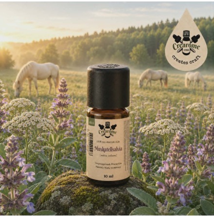 Muskatellsalvia eterisk olja EKO