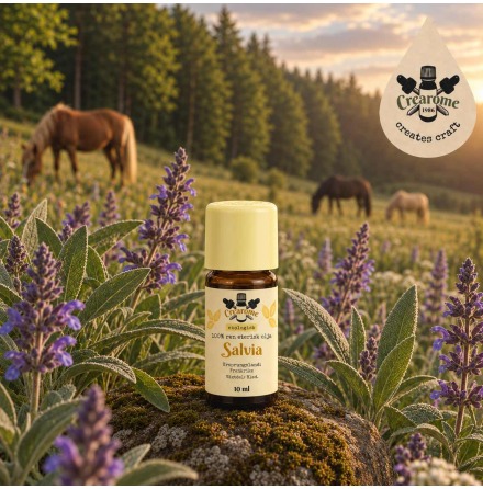 Salvia eterisk olja EKO
